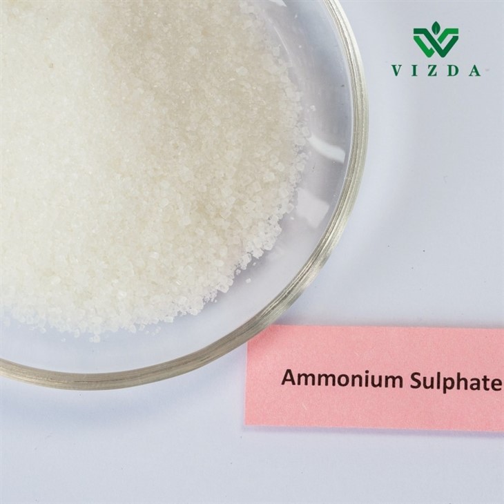 Butiran Amonium Sulfat