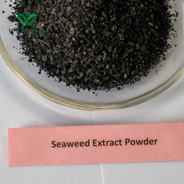 Farm-Friendly Seaweed Extract