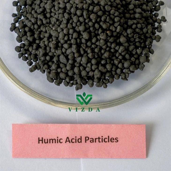 Organic Humic Acid Granular