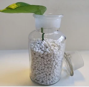 Ammonium Sulphate Granular