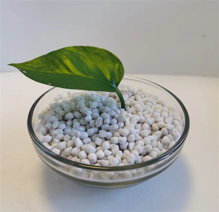 Butiran Amonium Sulfat