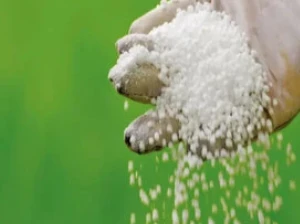 Cara Membuat Taman Anda Musim Dingin
