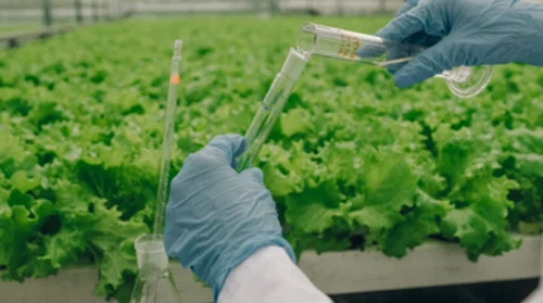 Industri Pupuk Bergeser Menuju Sistem Agronomi Terintegrasi, Menjauhi Produk ...