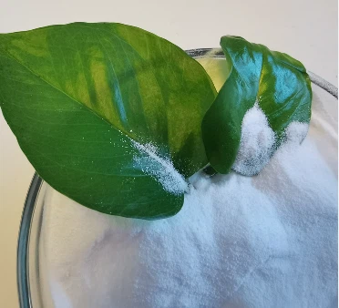 Industri Pupuk Kalium Nitrat KNO3